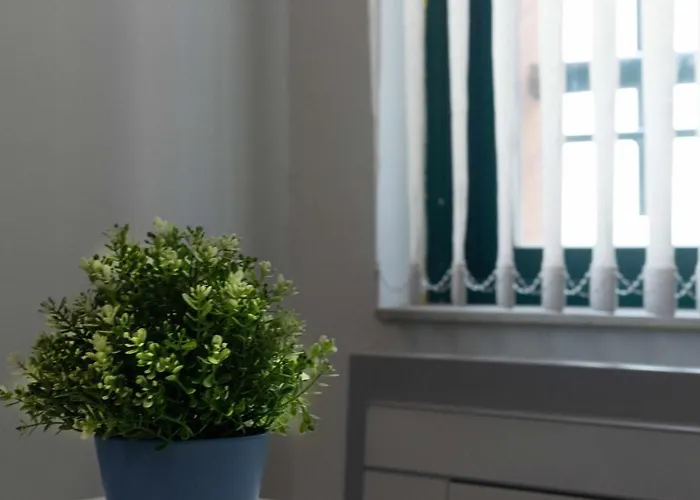 Estudio 19 - Bajo Reformado *